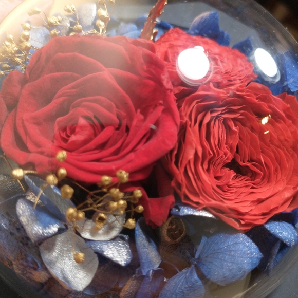 body and earth Jewerly Gift Box, Blue Color With red Roses Excellent Condition - Picture 11 of 13